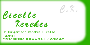 cicelle kerekes business card